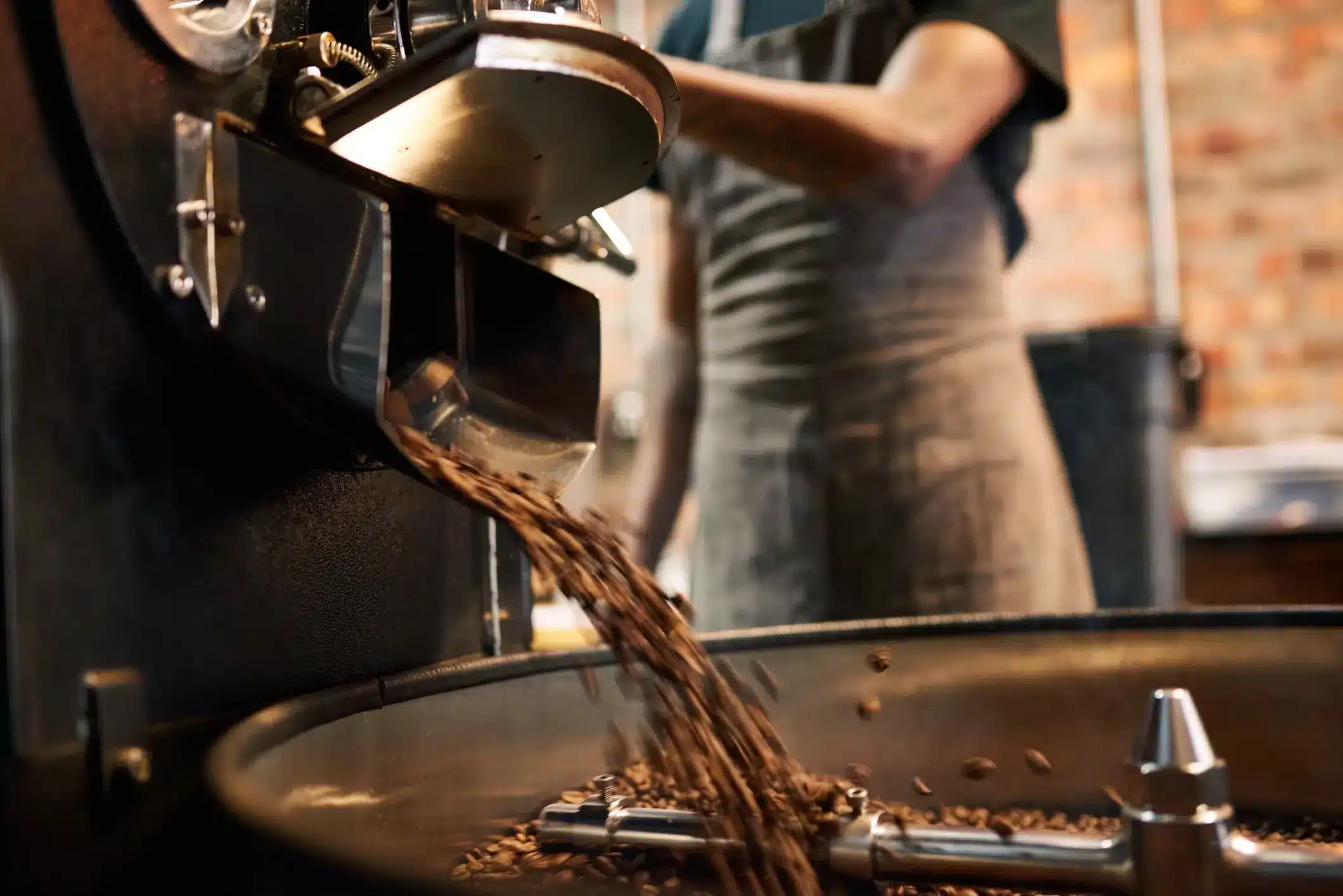 Specialty coffee beans and espresso – Berk's Beans roastery